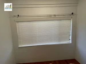 end of lease cleaning mascot - bind