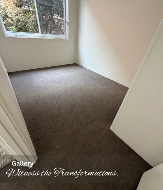 Carpet Steam Cleaning Sydney