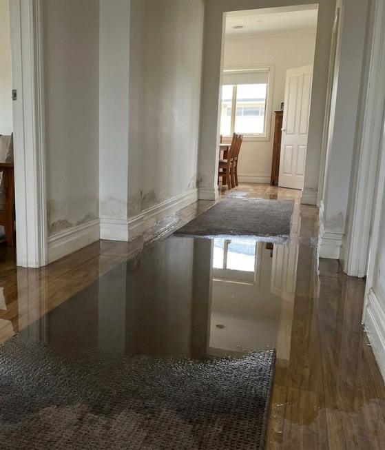 Flood Damage Restoration Sydney Flood Damage Restoration Sydney
